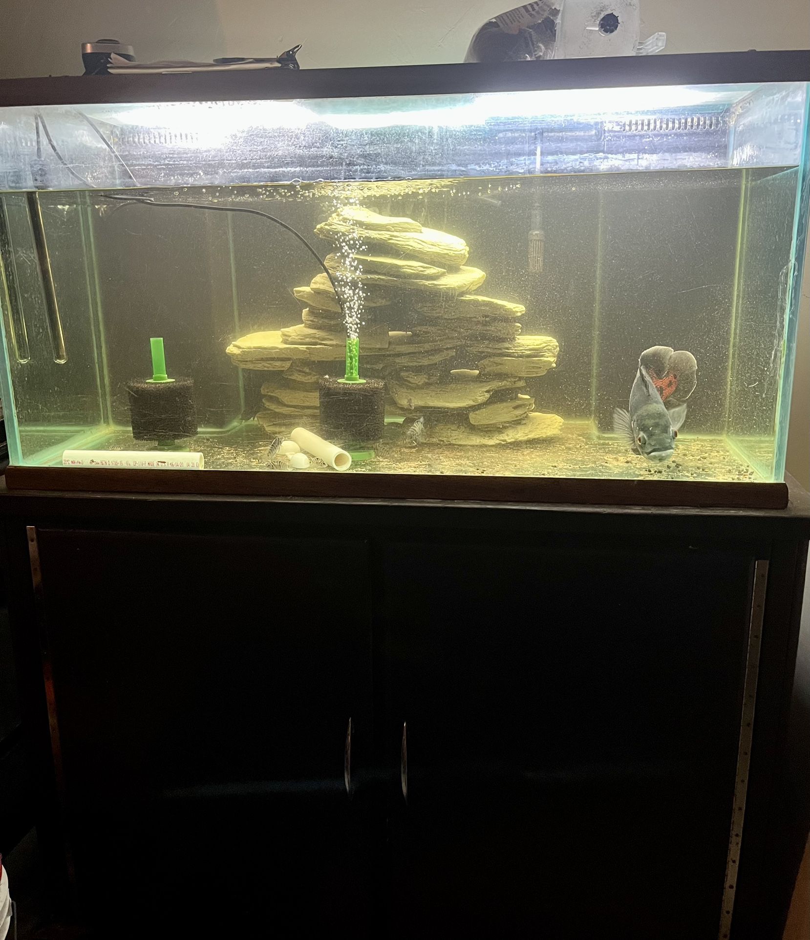 120 Gallon Aquarium Fish Tank