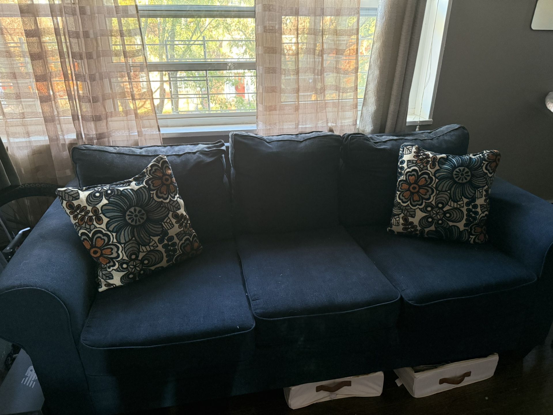 Blue Raymour And Flamigan Couches 