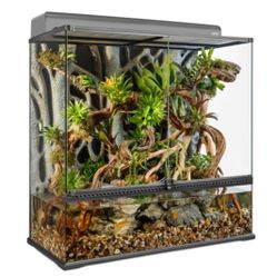 Large Terrarium 