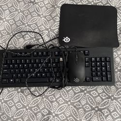 SteelSeries Mouse and Keyboard