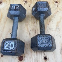 20 Pound Dumbbells 