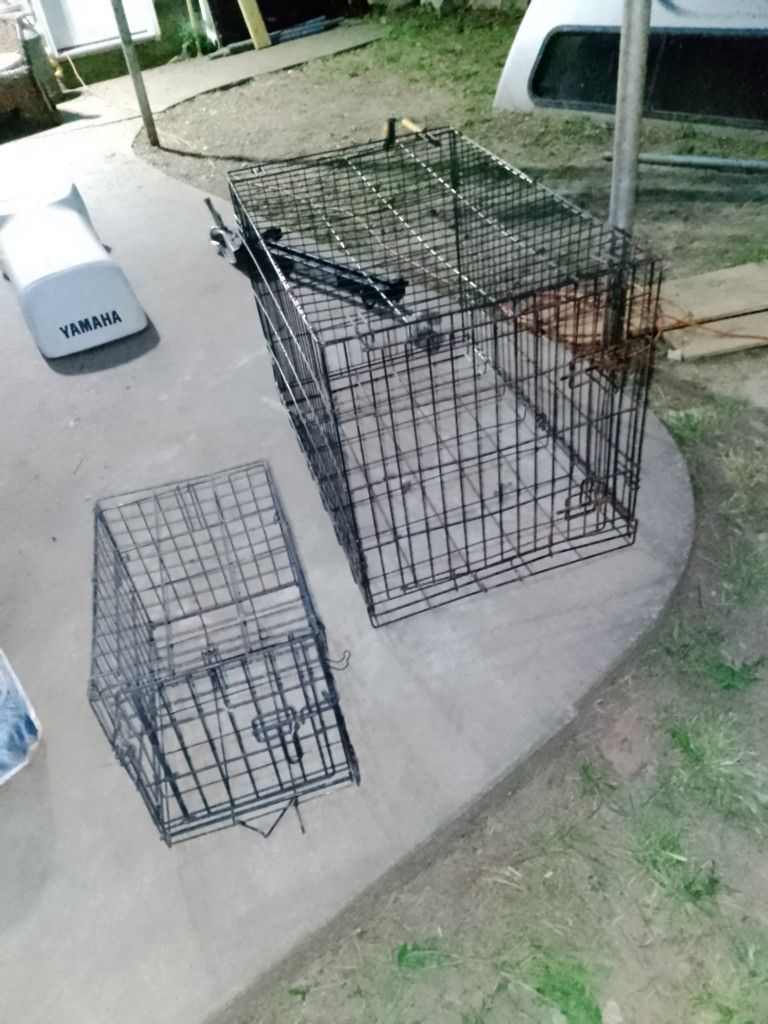 Dog Kennel