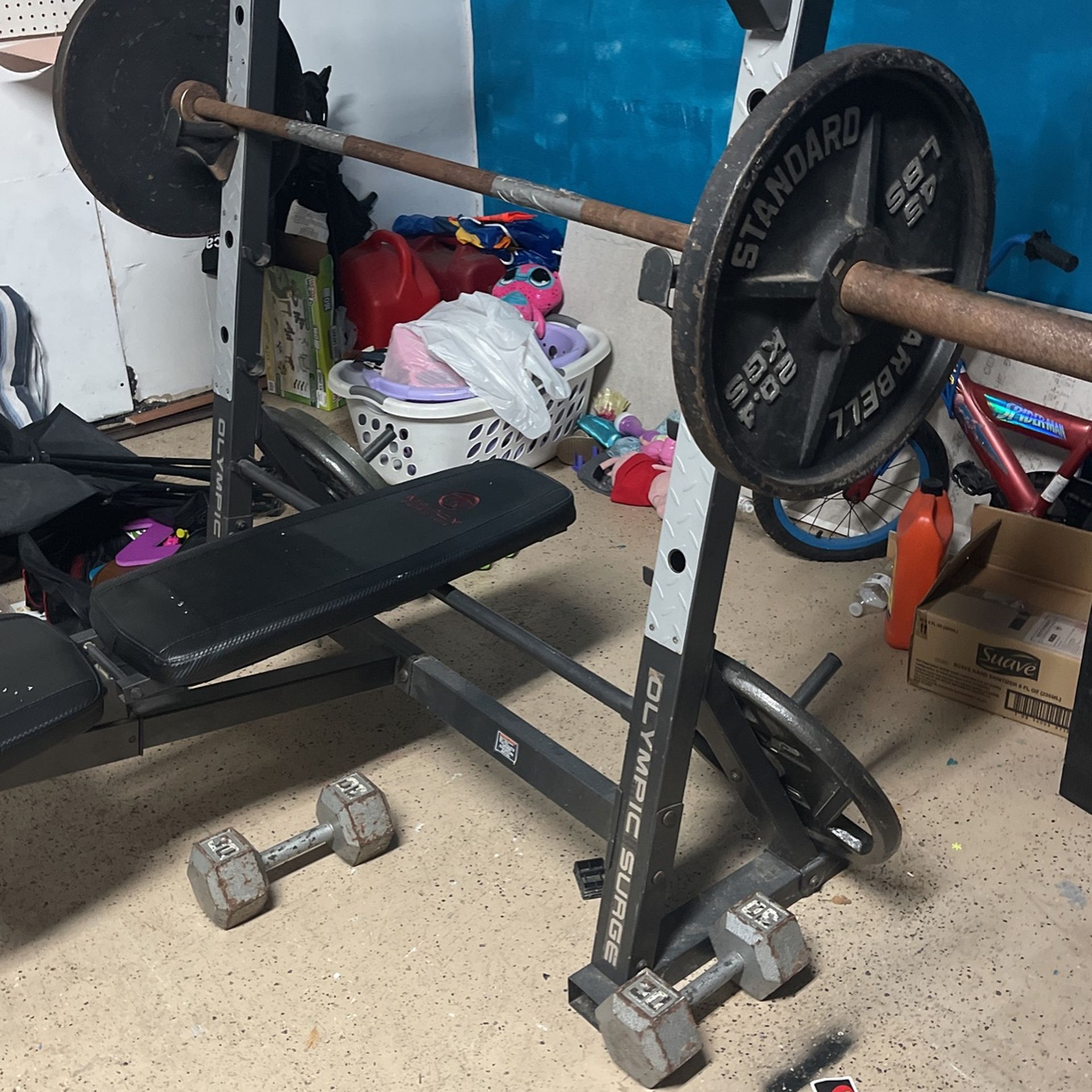Olympic Bench And Rack 