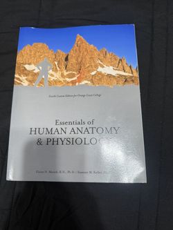 Essentials Of Human Anatomy & Physiology