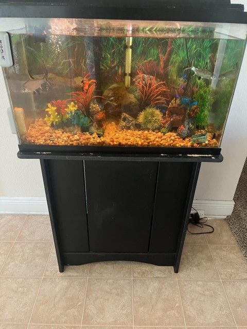 37 Gallon Fish Tank With Stand