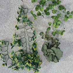 Reptile Cage Greenery