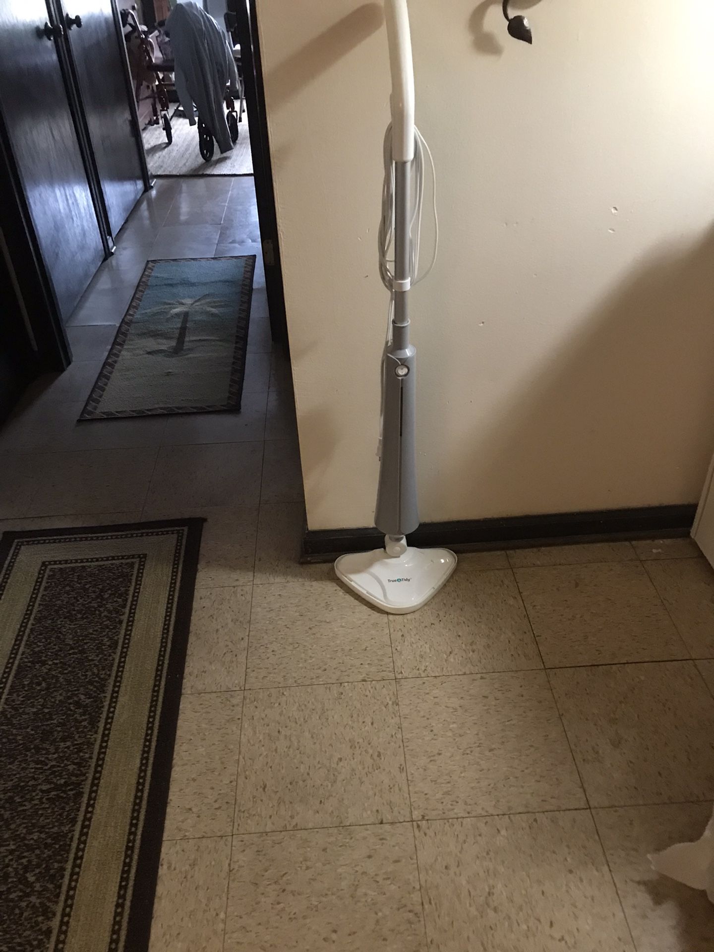 Steam Mop