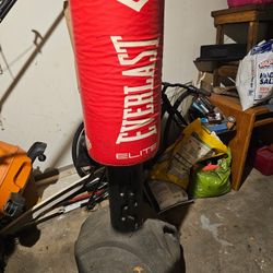 Everlast Free Standing Punching Bag