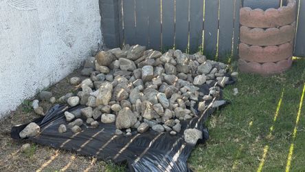 Free rocks!
