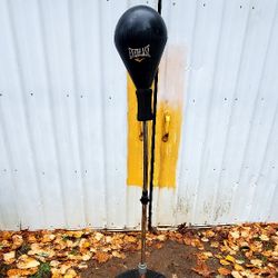 Everlast Punching Bag
