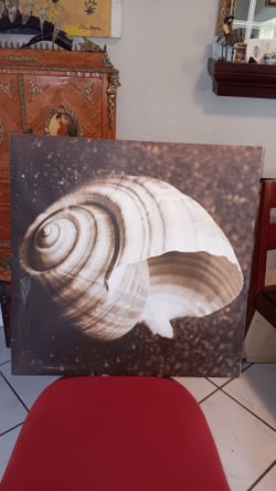 Canvas Shell 🐚 paint.