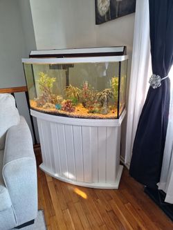 Fish tank