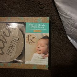wooden monthly photo props