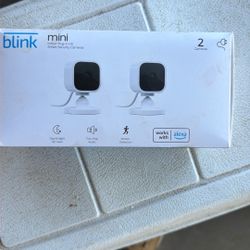 Blink Mini 2 Pack 