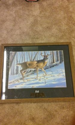 Deer picture