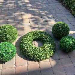 Outdoor Greenery From Martha Stewart 