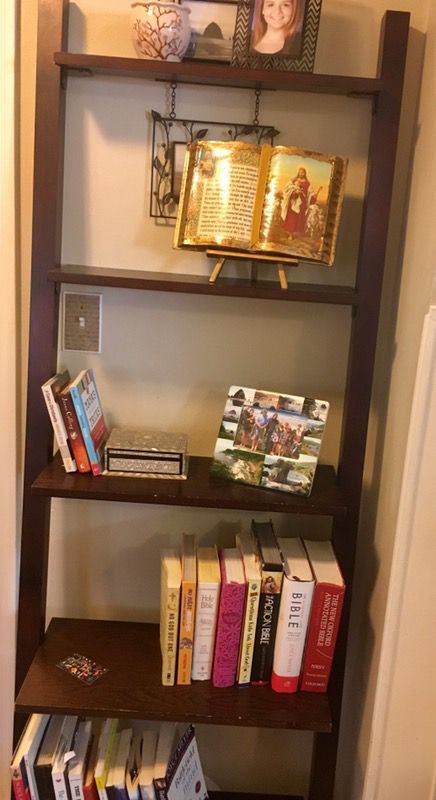Ladder Shelf/Bookcase