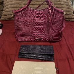Crocodile purse with clutch and card wallet
