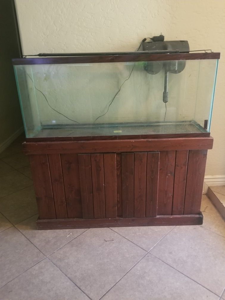 55 gallon aquarium