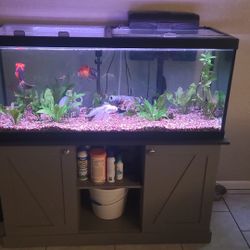 75 Gallon Tank With Stand