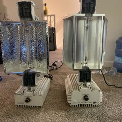Gavita Pro Grow Lights  $100 Each 