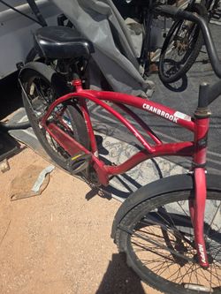 2019 swin bike
