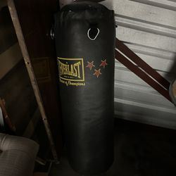 Black Everlast Punching Bag 75 Lbs