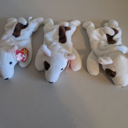 Ty Beanie Babies - Butch