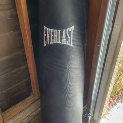 Everlast punching Bag