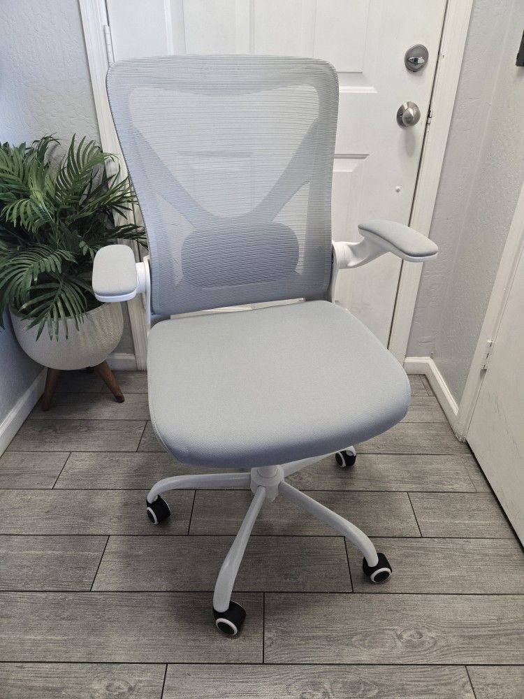 Ergalithic Ergonomic Office Chair with Lumbar Support
