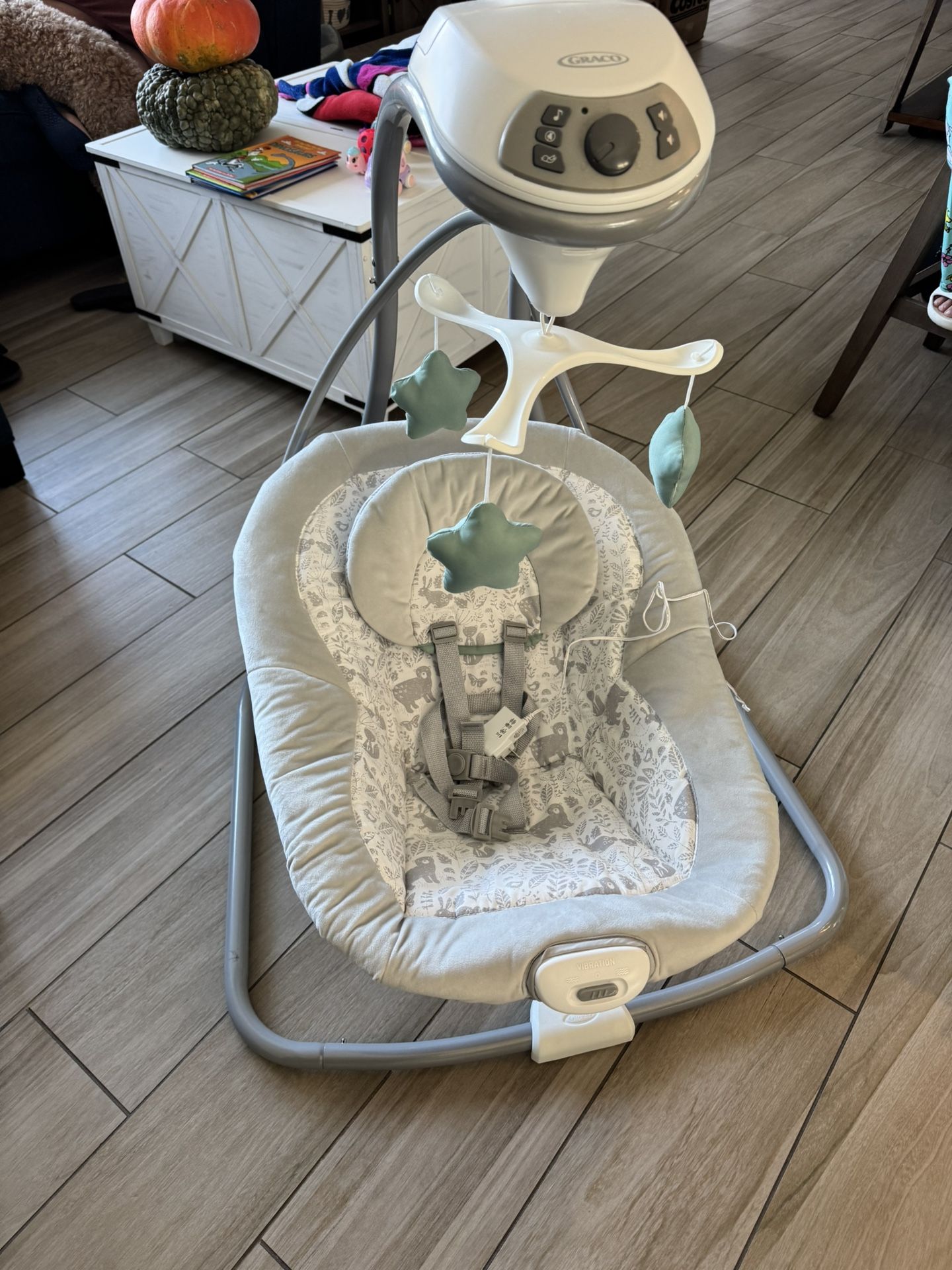 Graco Baby Swing