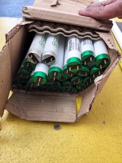 Philips Lights 47.1/4. Regular Long New .
