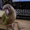 Isaac