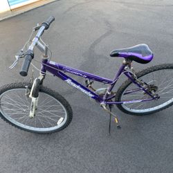 24” Roadmaster Bike