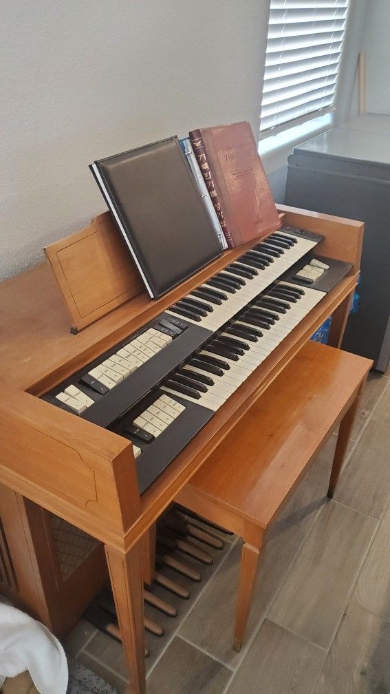 Mini Organ