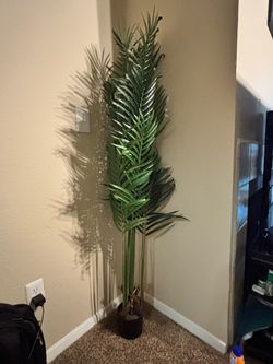 5ft Artificial Palm Plant – Home Decor