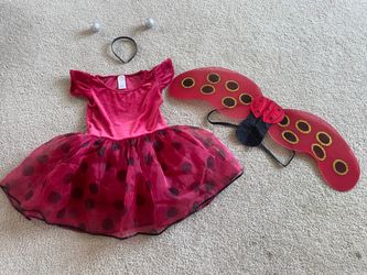 Girls Ladybug Halloween Costume Set