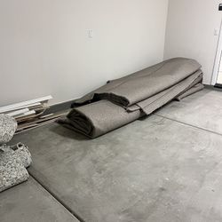 Carpet Removal