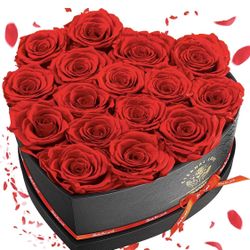 Rosas Preservadas Para Este 14 De Febrero 