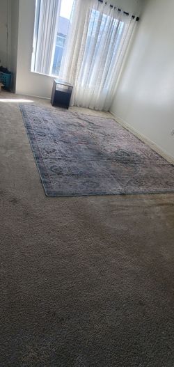Large Persian-Style Area Rug