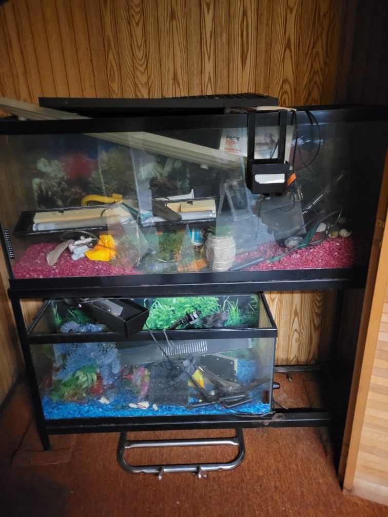 Fish Tanks