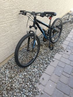 Trek mountain bike
