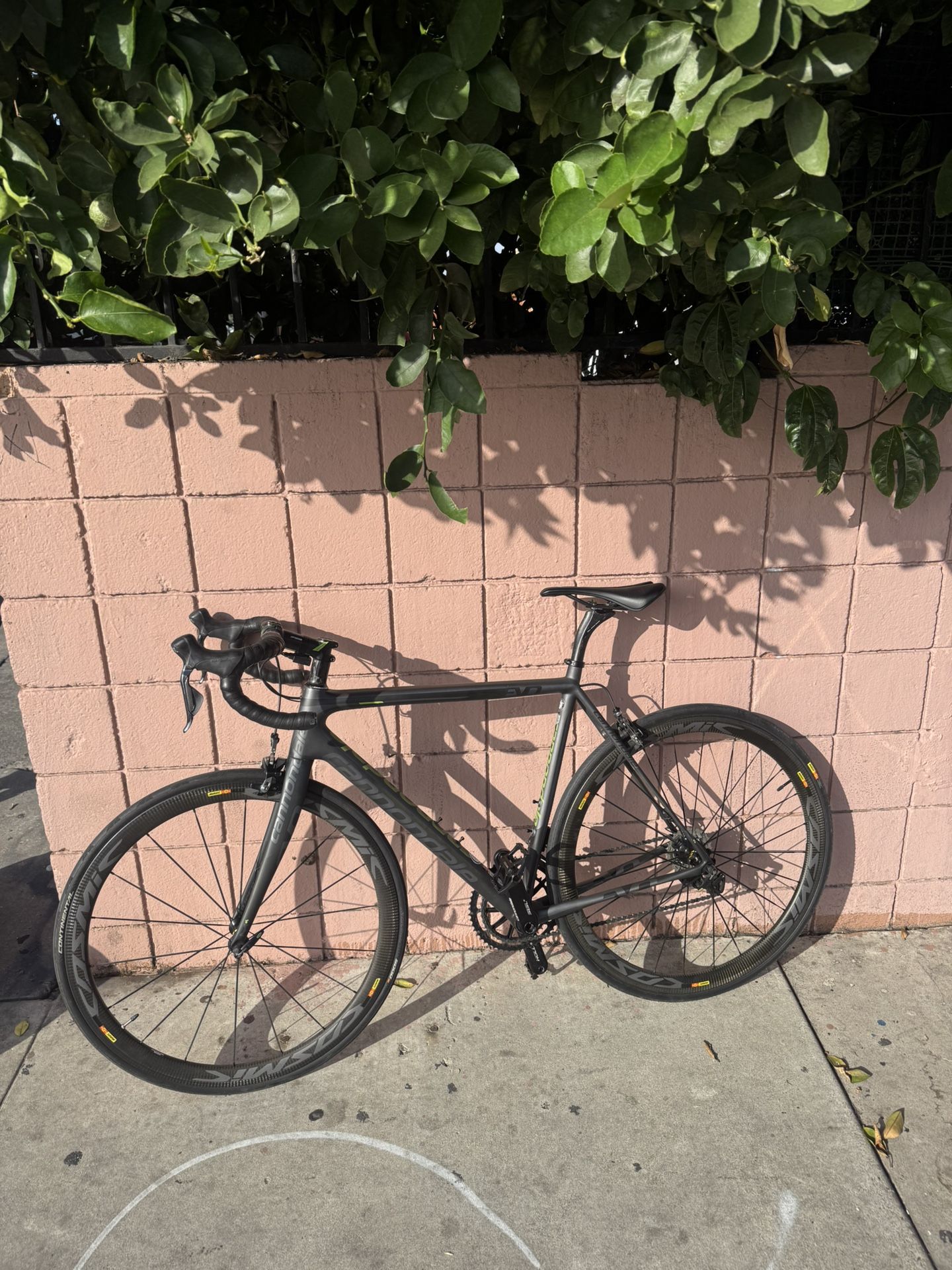 Cannondale Full Carbon Bike 