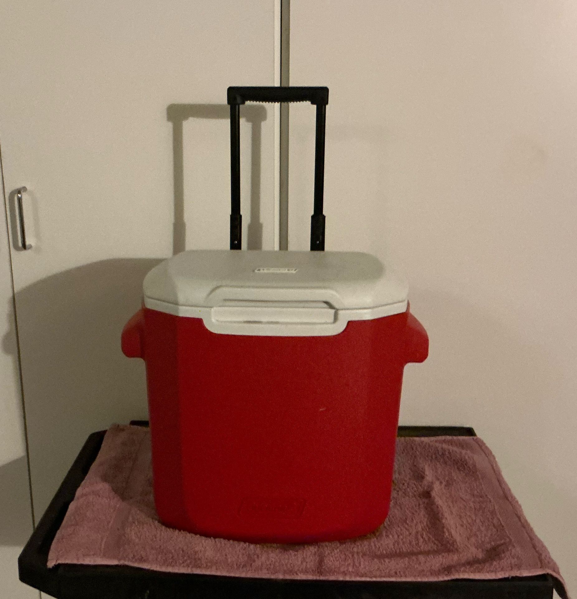 Coleman Cooler
