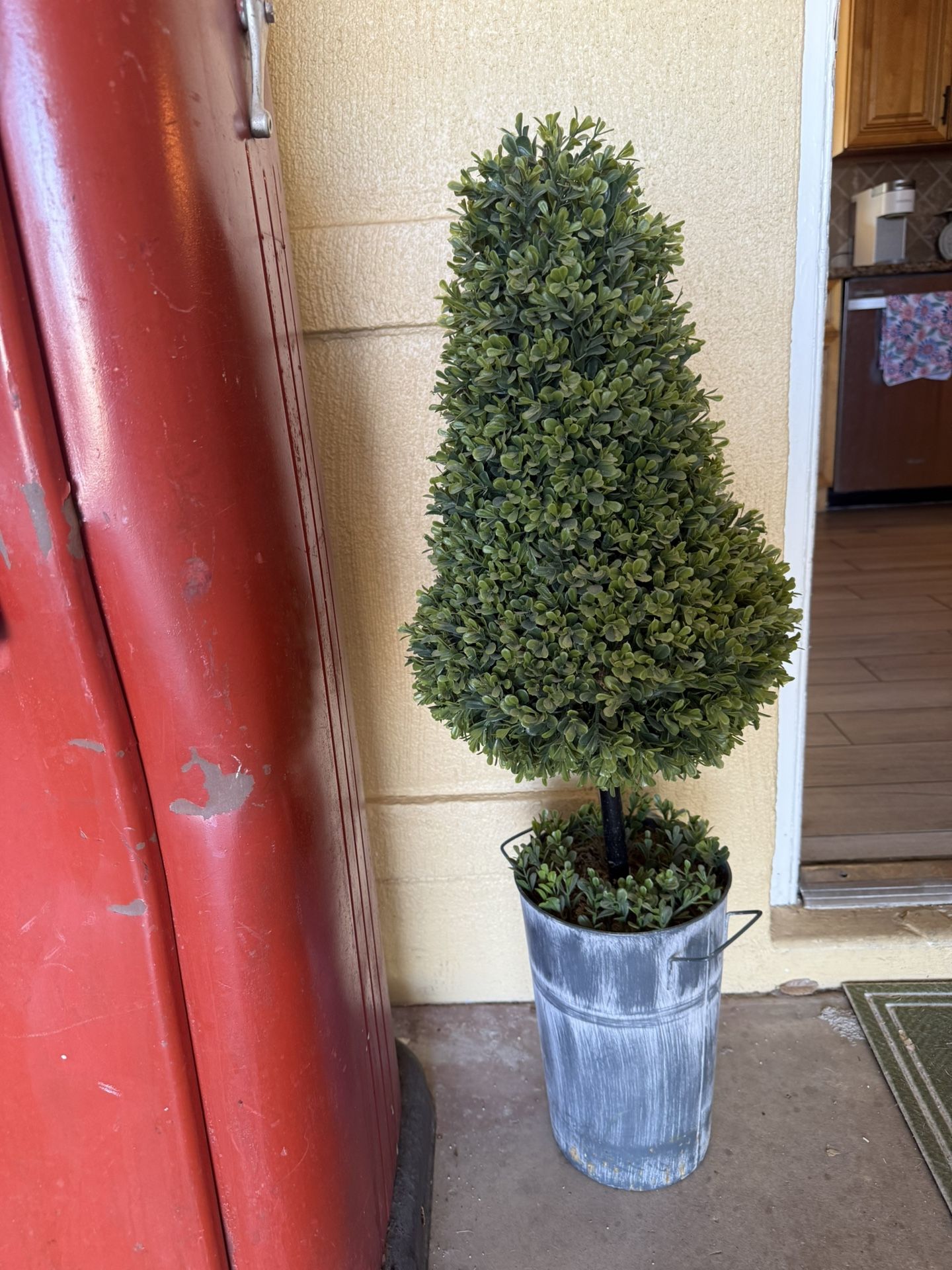 Cute Topiary (Greenway Rd And Cave Creek Road)