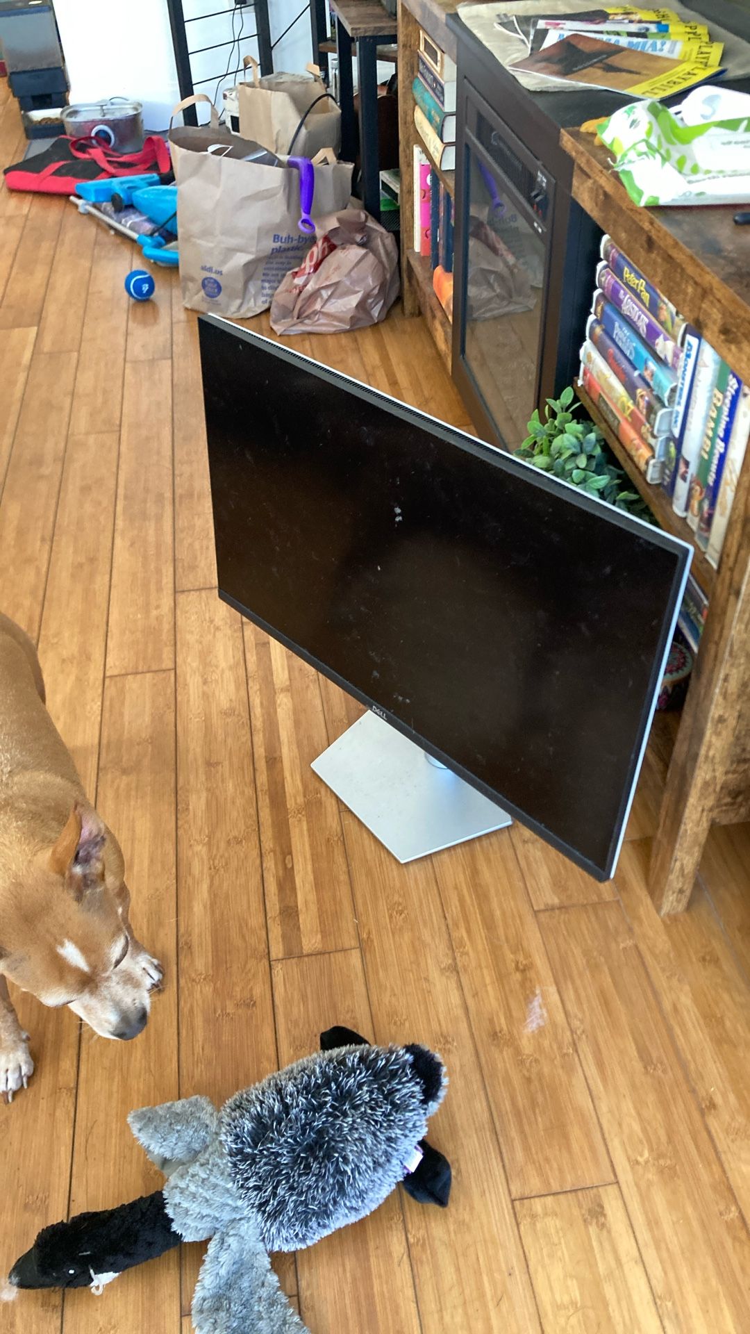 Dell Monitor 29 inch