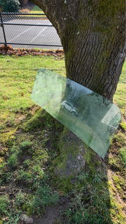 Jeep wagoneer back window.