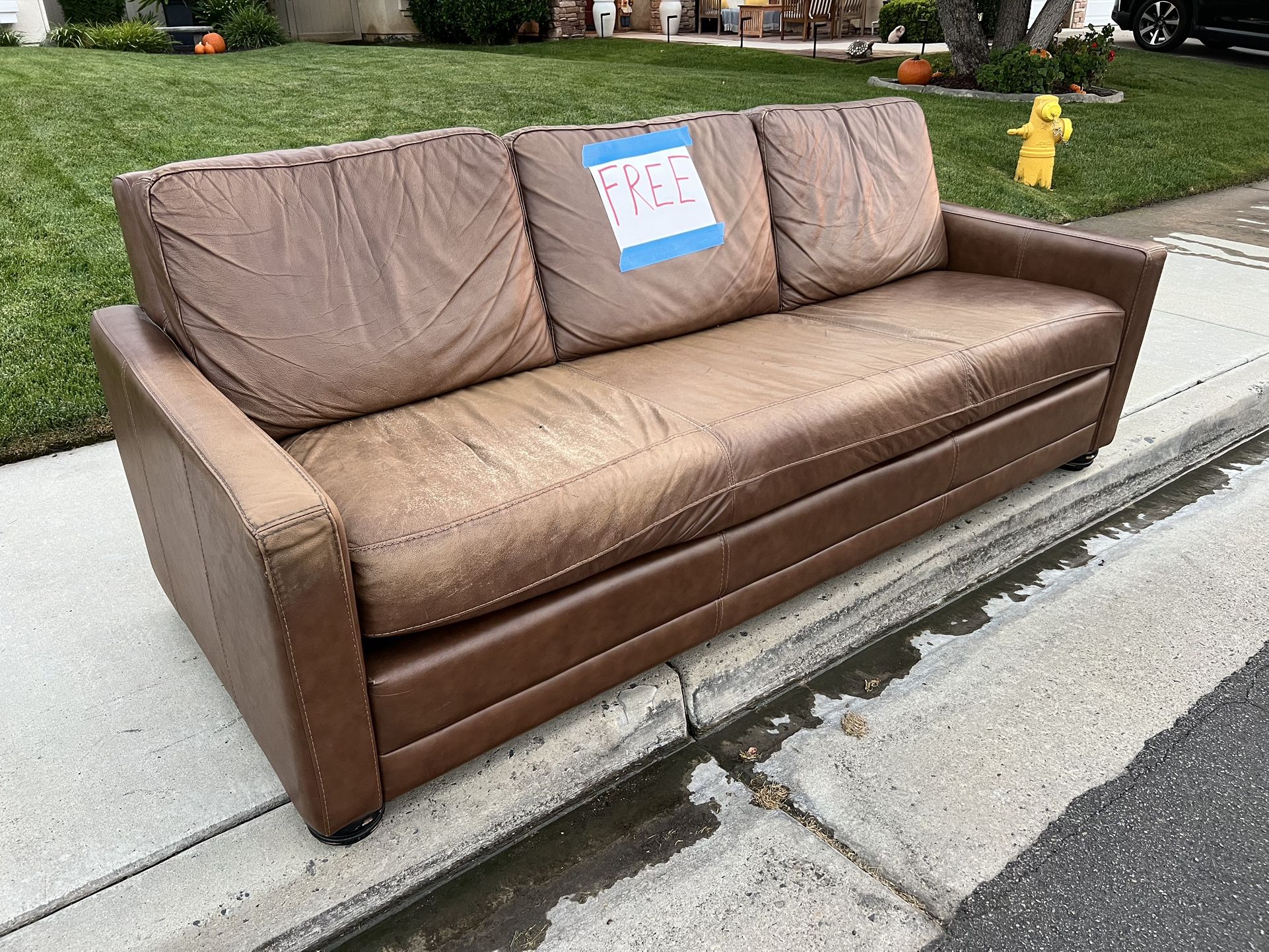 Free Leather Sofa