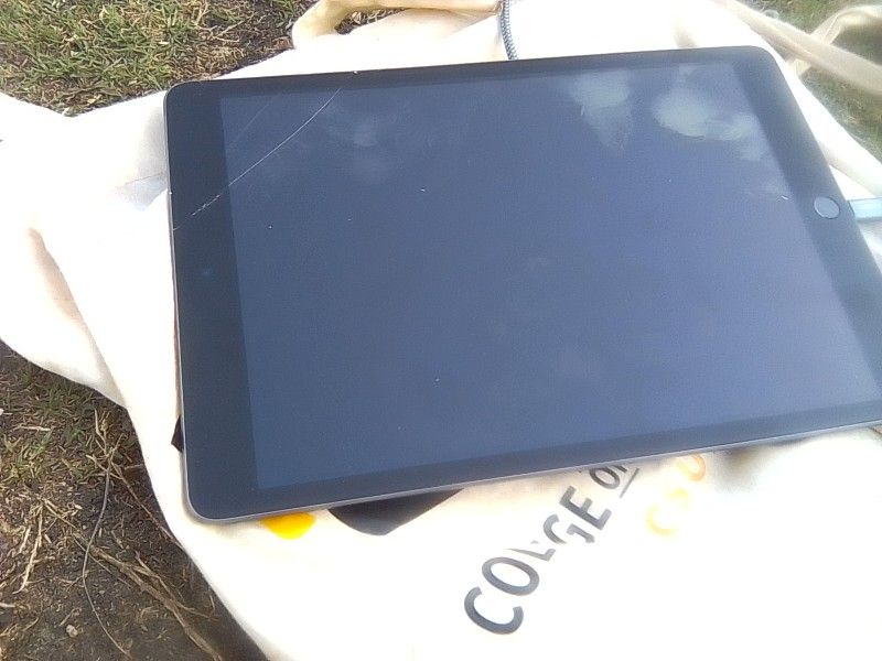 Apple Ipad