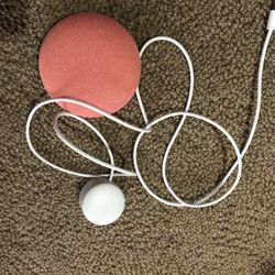 Google nest 